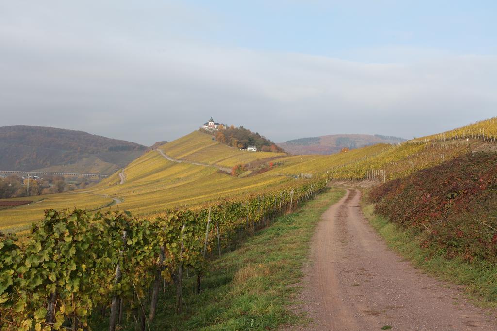 Weingut Pension Gibbert-Pohl Briedel Eksteriør bilde