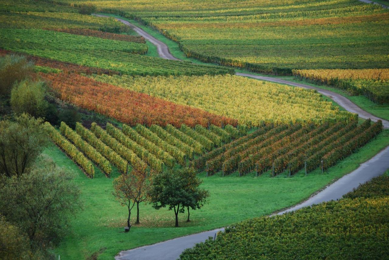 Weingut Pension Gibbert-Pohl Briedel Eksteriør bilde